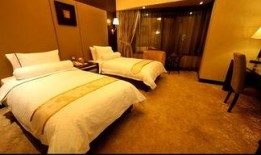 龙台金龙大酒店最新爆料,奢华升级，揭秘神秘新项目！