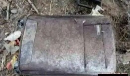 邓州拉杆箱藏尸最新爆料,最新爆料揭露惊人内幕